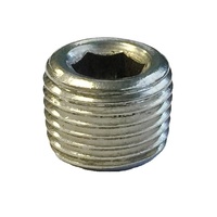 Stainless Steel 1/8 in NPT Plug - Single Pack 