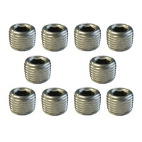 Stainless Steel 1/8 in NPT Plug - 10 Pack 