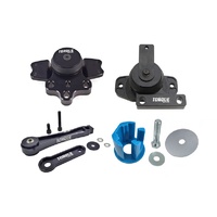 Engine, Tramission + Pendulum Mount Kit w/ Race Insert (Volkswagen 2.0 TSI Engines 09-14)