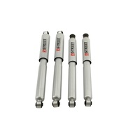 Belltech Street Performance Shock Set