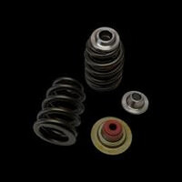 Brian Crower Can-Am X3/ROTAX 900 Ace Beehive Spring/Titanium Retainer Seat/Seal Kit