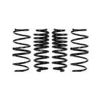 Eibach Pro-Kit for 14-18 Ford Transit Connect