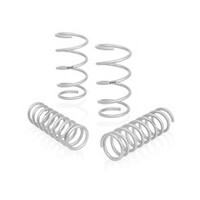 Eibach 09-10 Dodge Ram 1500 Pro-Lift-Kit Springs (Front & Rear Springs)