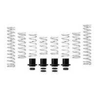 Eibach Pro-UTV 2020 Polaris RZR Pro XP Ultimate Stage 3 Performance Springs - Set of 8