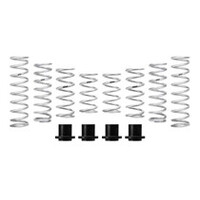 Eibach Pro-UTV 20-22 Polaris RZR Pro XP4 Base/Sport/Premium (Walker Evans) Stg 2 Performance Springs