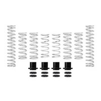 Eibach Pro-UTV 2019 Honda Talon 1000R Stage 2 Performance Springs For OE Fox Shocks