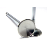 GSC P-D 12-13 Subaru/Scion BRZ/FR-S Chrome Polished Exhaust Valve - 29mm Head (STD) - SET 8