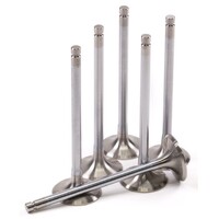 GSC P-D Can-Am Maverick Turbo 25mm Head STD 85.2mm Long Exhaust Valve - Set of 6