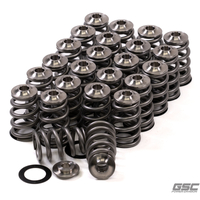 GSC P-D Nissan VQ35 Conical Valve Spring and Titanium Retainer Kit