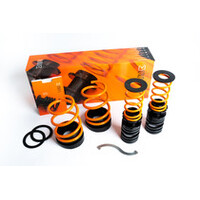 H&R 17-21 Honda Civic Type-R FK8 Sport Spring