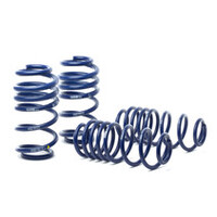 H&R 13-16 Audi A4 Allroad (AWD) B8 Sport Spring