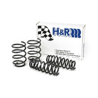 H&R 07-11 BMW 328i Sedan/335i Sedan E90 Race Spring