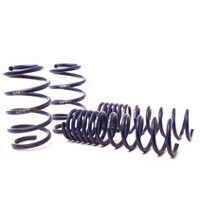 H&R 2013 Ford Escape (2WD/4WD) 4 Cyl/V6 Sport Spring