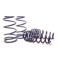 H&R 11-14 Ford Mustang/Mustang Convertible/Mustang GT V6/V8 Super Sport Spring