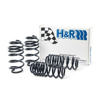 H&R 06-09 Volkswagen Golf (Rabbit S/Rabbit) 2.5L/1.9 TDI/2.0T MK5 Race Spring