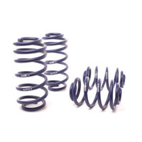 H&R 01-05 Volkswagen Passat Sedan/Passat Wagon VR6/TDI B5.5 Facelift Sport Spring