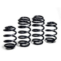 H&R 98-01 Volkswagen Passat Sedan/Passat Wagon VR6/TDI Sport Spring