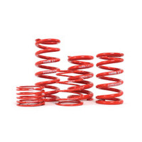 H&R 2.5 inch ID Single Race Spring Length 6 inch Rate 300 lbs/inch