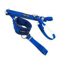 NRG SFI 3.3 Arm Restraints One Pair - Blue