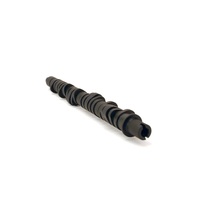 Skunk2 Tuner Series D-Series Honda Stage 4 Camshaft