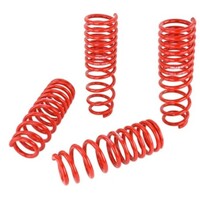 Skunk2 92-95 Honda Civic/Del Sol Lowering Springs (2.50in - 2.25in.) (Set of 4)