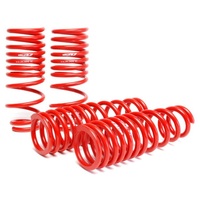 Skunk2 92-95 Honda Civic/Del Sol Lowering Springs (2.50in - 2.25in.) (Set of 4)