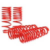 Skunk2 96-00 Honda Civic Lowering Springs (2.50in - 2.25in.) (Set of 4)