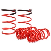 Skunk2 02-05 Honda Civic Si Hatchback Lowering Springs (2.25in - 2.00in.) (Set of 4)