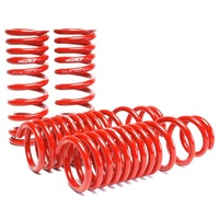 Skunk2 90-93 Acura Integra Lowering Springs (2.50in - 2.25in.) (Set of 4)