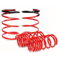 Skunk2 02-04 Acura RSX Lowering Springs (2.25in - 2.00in.) (Set of 4)