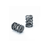 Supertech Dual Valve Spring 82lb at 41mm / 185lb at 10mm Lift / CB 25.5mm Chrome Silicon - Set of 24