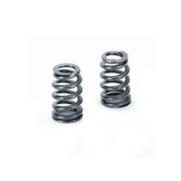 Supertech BMW S65 V8 18.7mm Outer Dia Beehive Spring - Set of 16