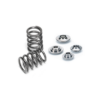 Supertech Audi V10 (40V) Single Valve Spring Kit