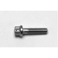 Wilwood 1/4-28 x 0.75 LG - 12 PTCS - LWD Stainless Replacement Bolt