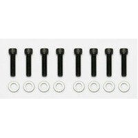 Wilwood Bolt Kit - 1/4-28 x.75- 8 pk.